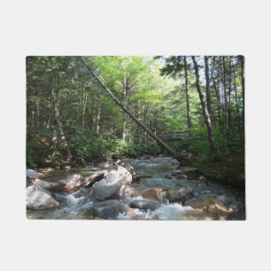 Paillasson Pont sur la rivière Pemigewasset au New Hampshire