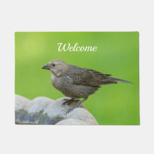 Paillasson Porte d'accueil pour colibri Brown