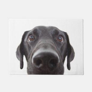Paillasson Portrait de la collection Black Labrador