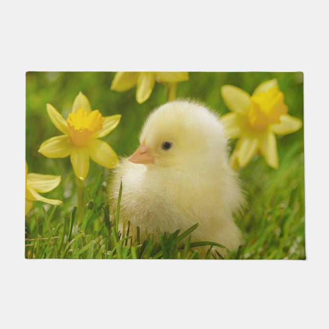 Paillasson poussin de bébé dans les jonquilles (Devant)