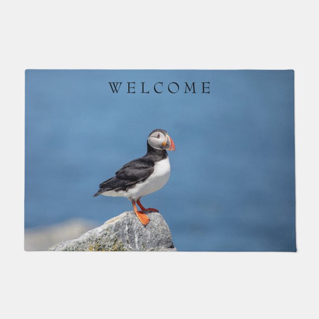Paillasson Puffin Atlantique en Machias, Maine (Devant)