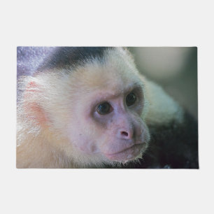 Paillasson Pura vida pour singe capucin à tête blanche