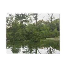 Réflexion dans la natte de lac