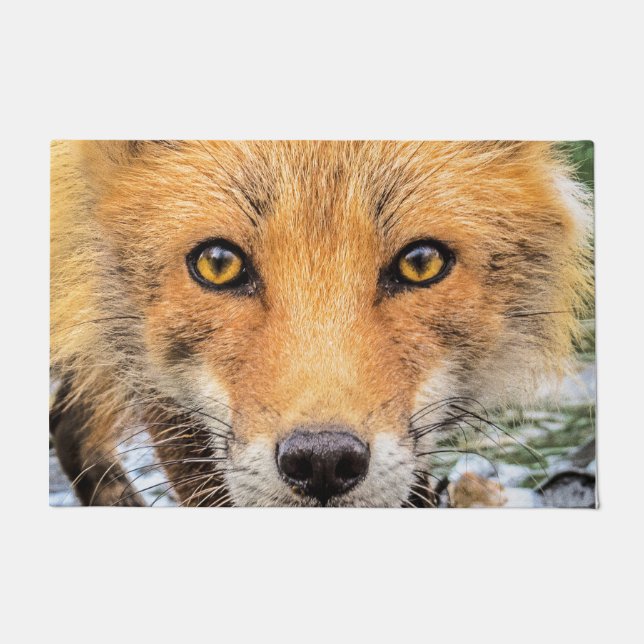 Paillasson Renard rouge - Face (Devant)