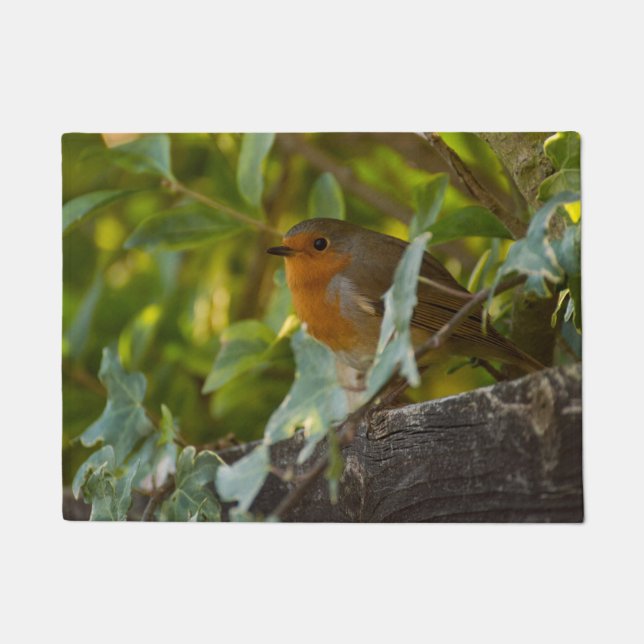 Paillasson Robin (Devant)