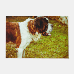 Paillasson Saint Bernard.