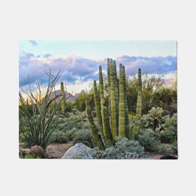 Paillasson Scottsdale Succulent Sunset (Devant)