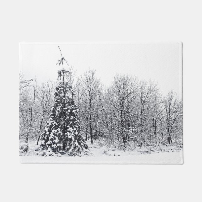 Paillasson séparation de l'incertitude (Devant)