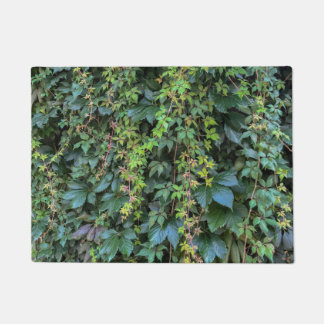 Paillasson Serene Green Ivy Wall Suspendre Vins Plantes Feuil