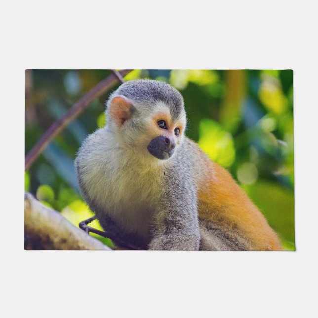 Paillasson Singe écureuil à Manuel Antonio NP - Costa Rica (Devant)