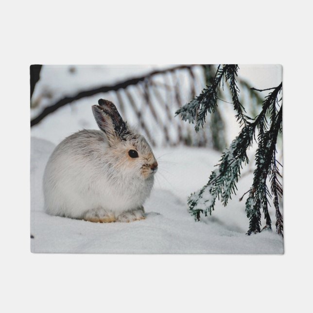 Paillasson Snowshoe Hare Winter Snow Nature (Devant)