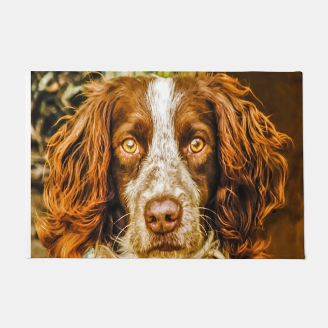 Paillasson Springer Spaniel Dog. (Devant)