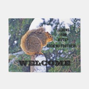 PAILLASSON SQUIRREL SUR LA NEIGE COUVERT POST/RECHERCHE DE NU