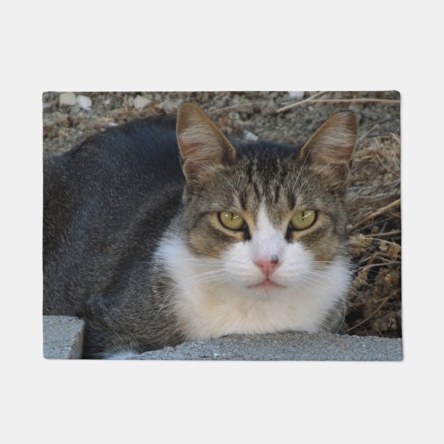 Paillasson Tabby Chat avec matelas vert aux yeux (Devant)