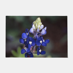 Paillasson Texas Bluebonnet Porte Mat