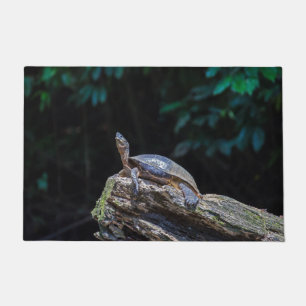 Paillasson Tortues de rivière bronzer à Tortuguero - Costa Ri