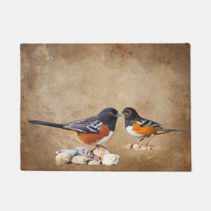 PAILLASSON TOWHEE REPÉRÉ