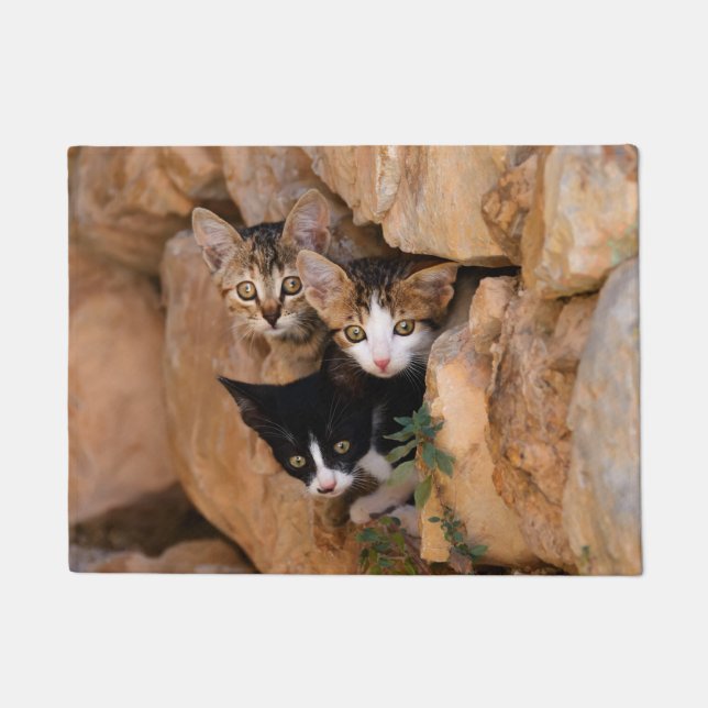 Paillasson Trois chatons curieux de chat (Devant)