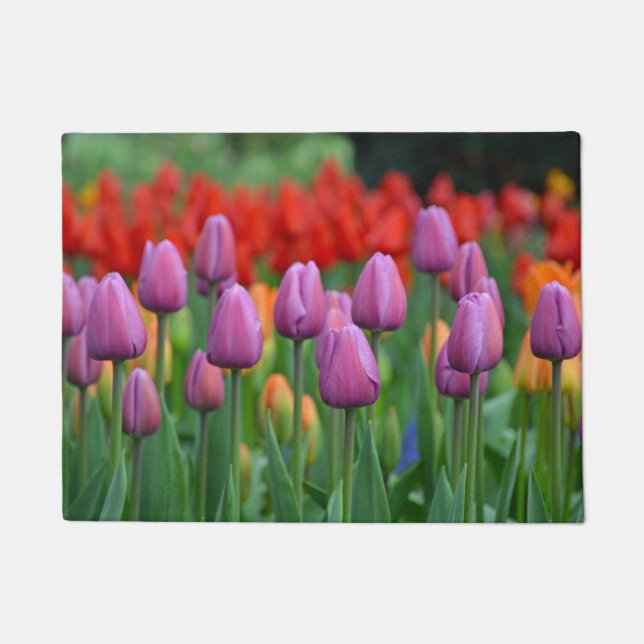 Paillasson Tulipes à ressort pourpre (Devant)
