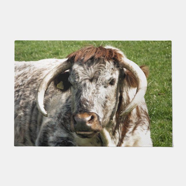 PAILLASSON VACHE (Devant)