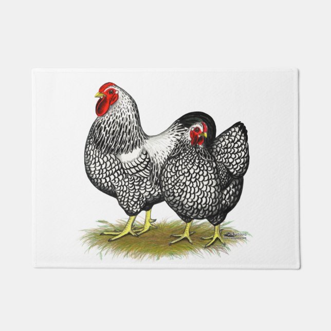 Paillasson Wyandotte :  Paires argentées (Devant)