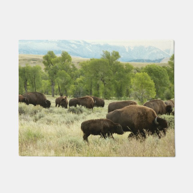 Paillasson Wyoming Bison Nature Animal Photographie (Devant)