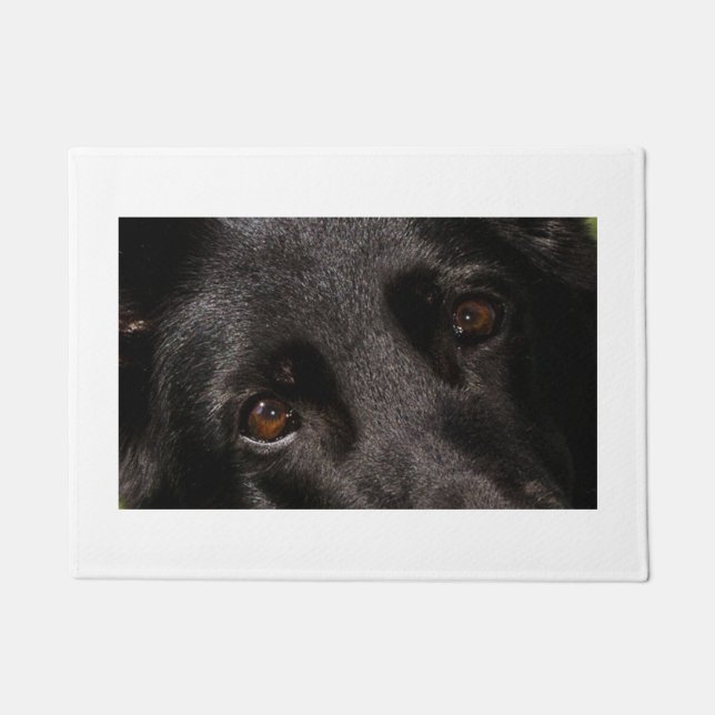 Paillasson yeux noirs de berger allemand (Devant)