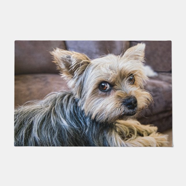 Paillasson Yorkshire Terrier (Devant)