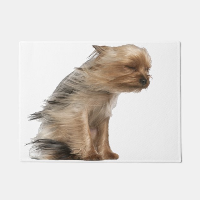 Paillasson Yorkshire Terrier aux cheveux dans le vent (Devant)