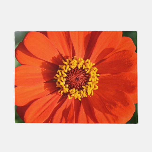 Paillasson Zinnia orange (Devant)