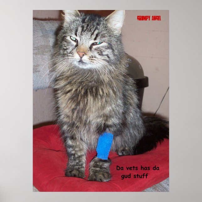Pain Meds for kitty Poster (Front)