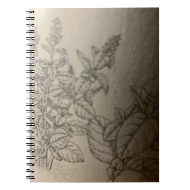 paint basil. notebook (Front)