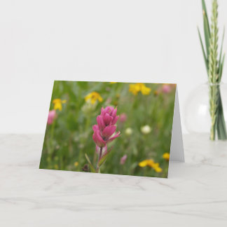 Paint Brush-Rosy 05 004 Card