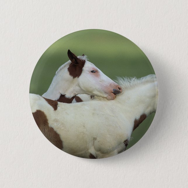 Paint Foals Playing 2 Inch Round Button (Front)