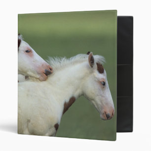 Paint Foals Playing Binder