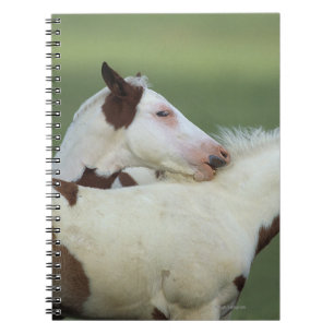 Paint Foals Playing Notebook