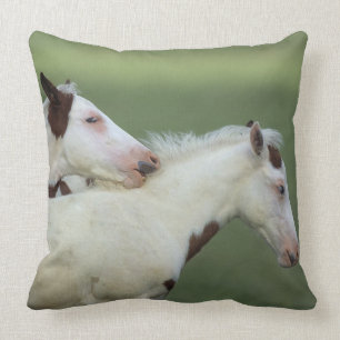 Paint Foals Playing Throw Pillow