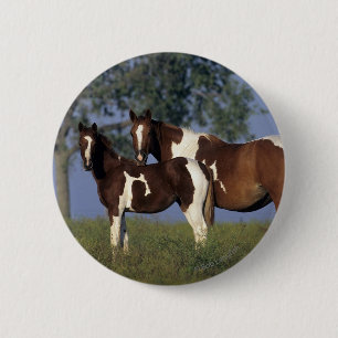 Paint HMare & Foal 2 Inch Round Button