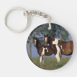 Paint HMare & Foal Keychain