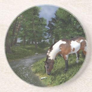 Paint Horse by Forest Stream Coaster