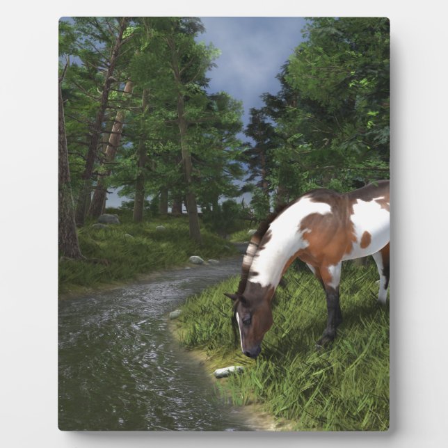 Paint Horse by Forest Stream Plaque (Front)
