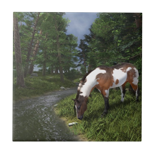 Paint Horse by Forest Stream Tile (Front)