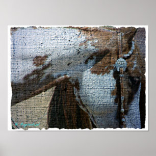 Paint Horse Crackle Poster