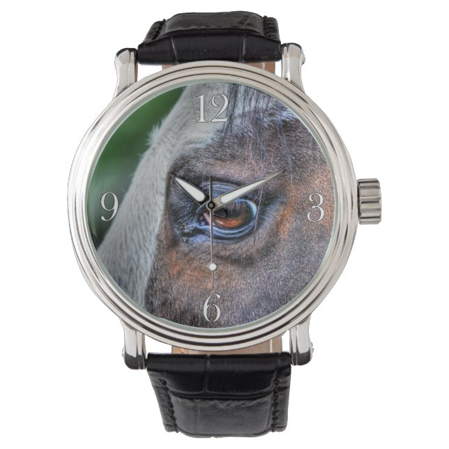 Paint Horse Eye Equine Photo Portrait Watch (Front)
