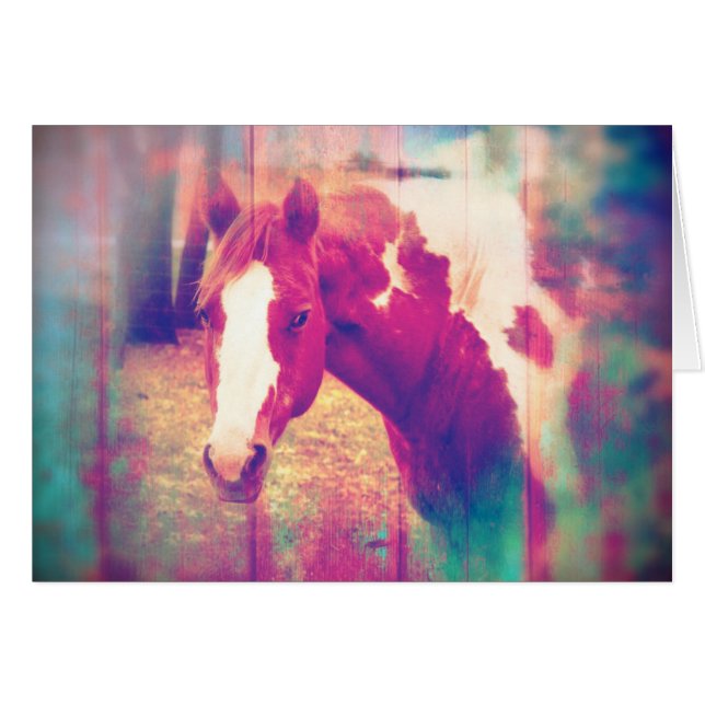 Paint Horse Grunge (Front Horizontal)