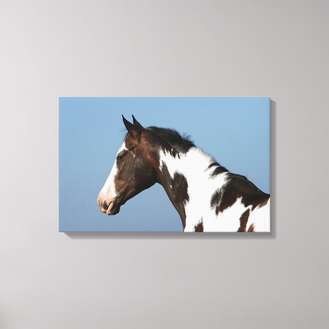Paint Horse Headshot 1 Canvas Print (Front)