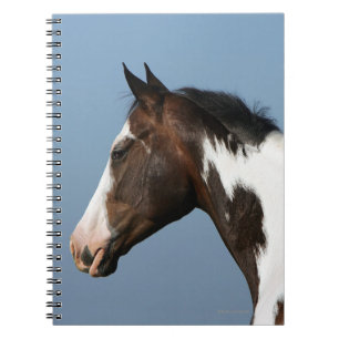 Paint Horse Headshot 1 Notebook