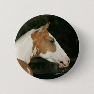 Paint Horse Headshot 2 2 Inch Round Button