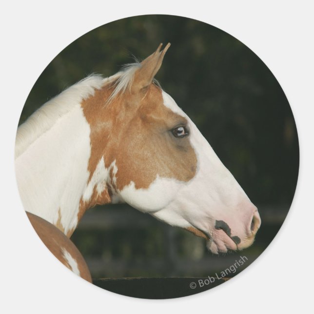 Paint Horse Headshot 2 Classic Round Sticker (Front)