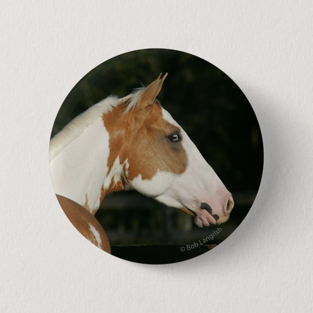 Paint Horse Headshot 2 Inch Round Button (Front)